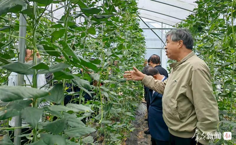 ?【群众新闻】2025年线虫专家陕西行活动启动